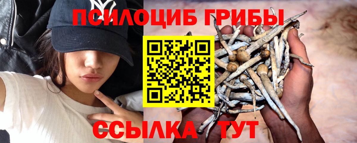Галлюциногенные грибы мицелий Усинск
