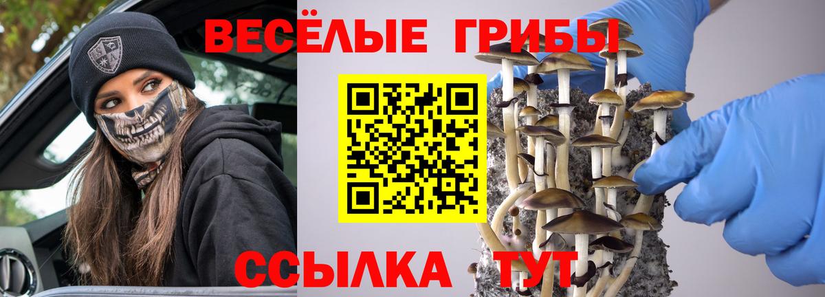 Усинск  Псилоцибиновые грибы Psilocybe  Вход с VPN 